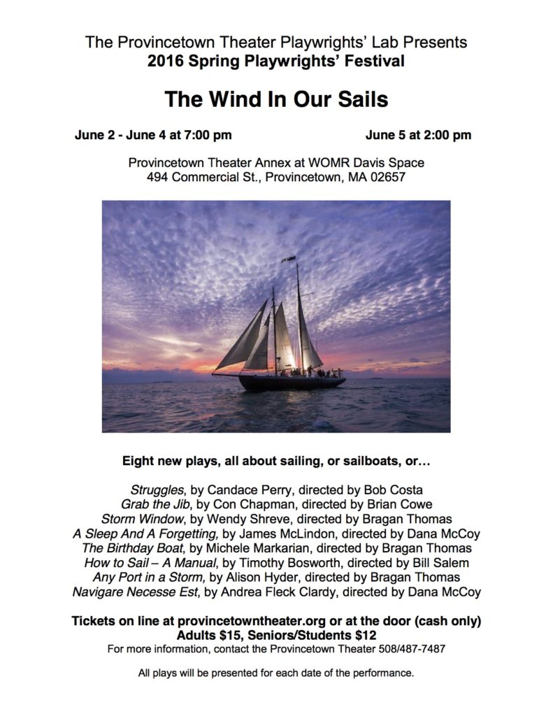 Wind in our sails poster_color8