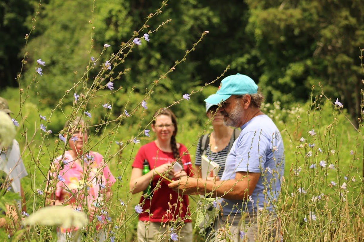 Russ teaching Chicory @ Town Farm, Westport, MA, 7-11-17
